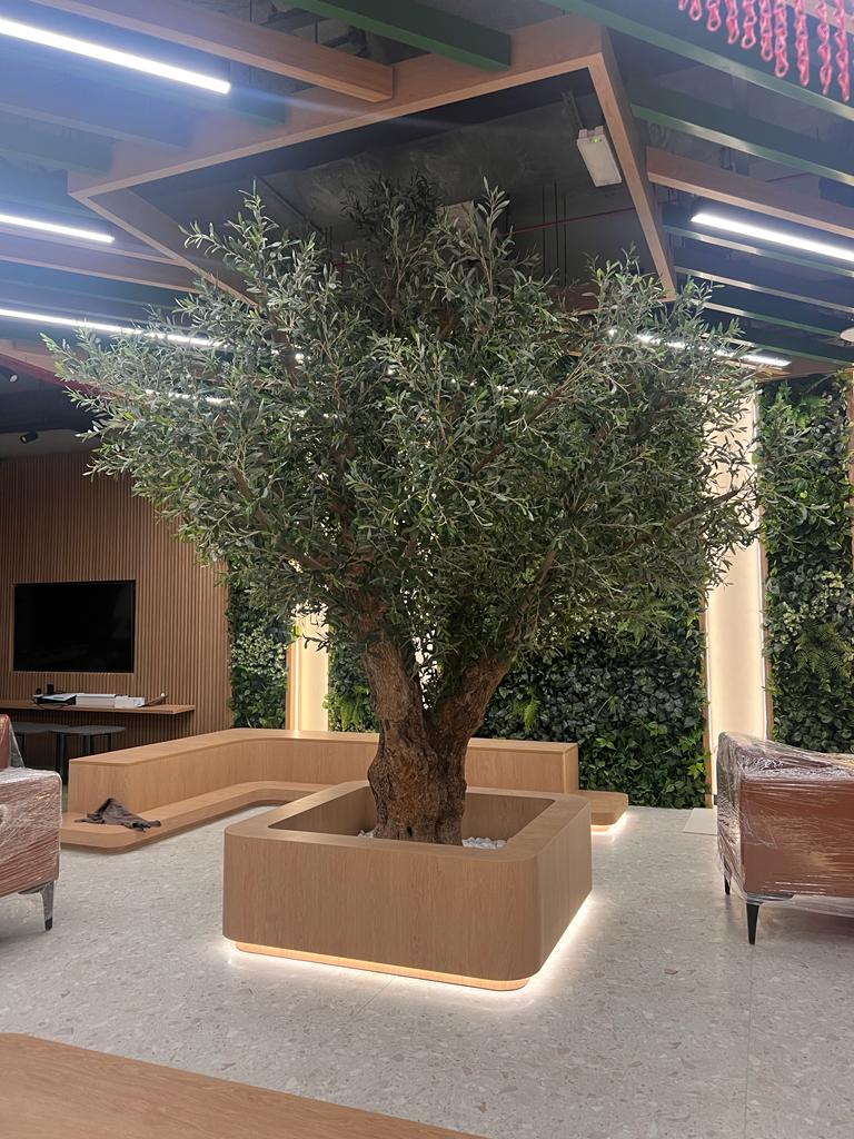 Financial Olive Tree