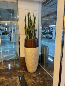 Artificial Snake Plant